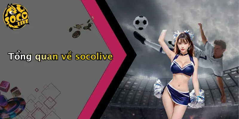Tổng quan về socolive