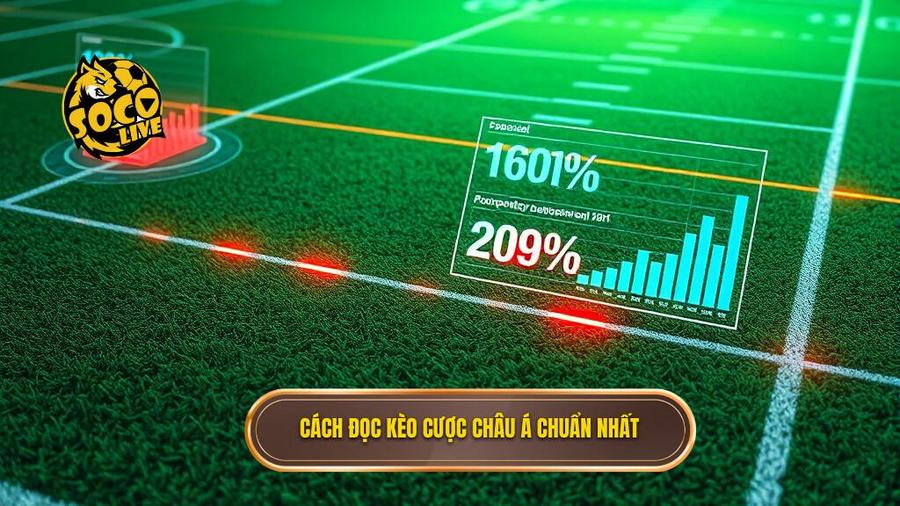 Kèo cược châu Á: Cẩm nang toàn tập và chiến thuật chinh phục nhà cái 2 Cách đọc các loại Kèo cược châu Á phổ biến nhất