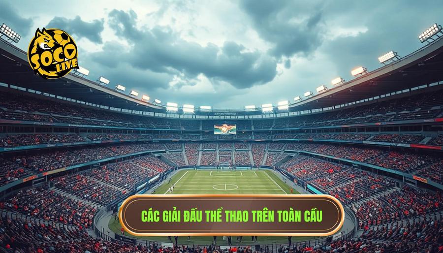 Socolive TV Full HD – Xem Mượt Link Trực Tiếp Không Giật 2 Đa dạng các giải đấu trên toàn thế giới