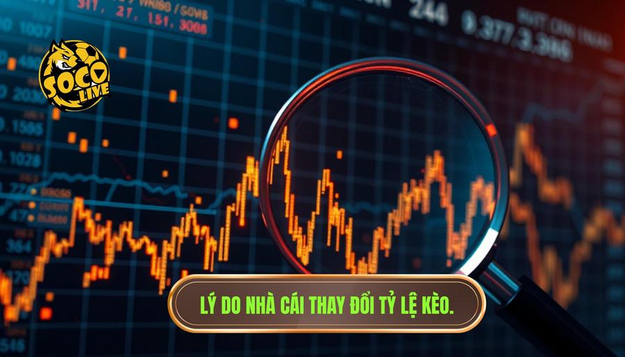 Làm gì khi nhà cái thay đổi tỷ lệ kèo đột ngột? Cẩm nang xử lý từ chuyên gia 1 Lý do nhà cái thay đổi tỷ lệ kèo