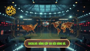 SOCOLIVE_ Đẳng cấp soi kèo bóng đá.